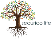 Logo (full color)